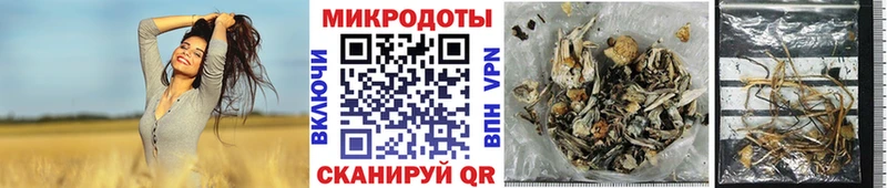 Псилоцибиновые грибы ЛСД Каневская