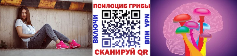Галлюциногенные грибы Cubensis сколько стоит Каневская